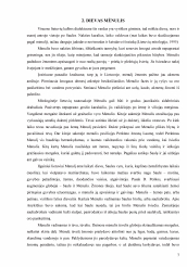www.speros.lt